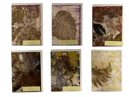 Eco Print Card