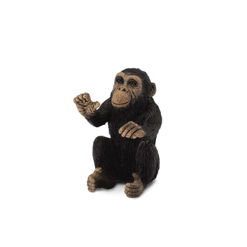 Chimpanzee Cub Hugging