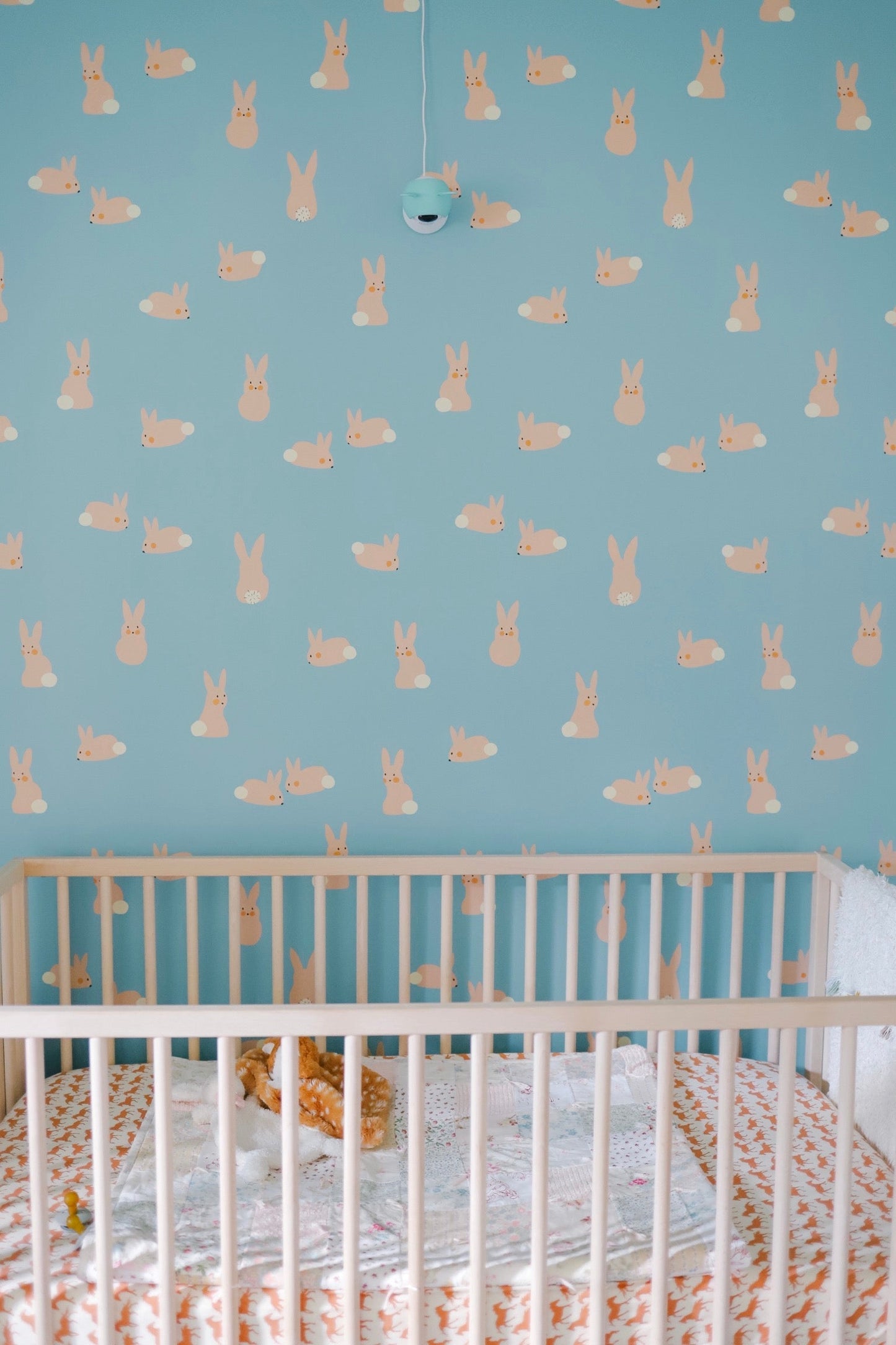 Cottontail Wallpaper