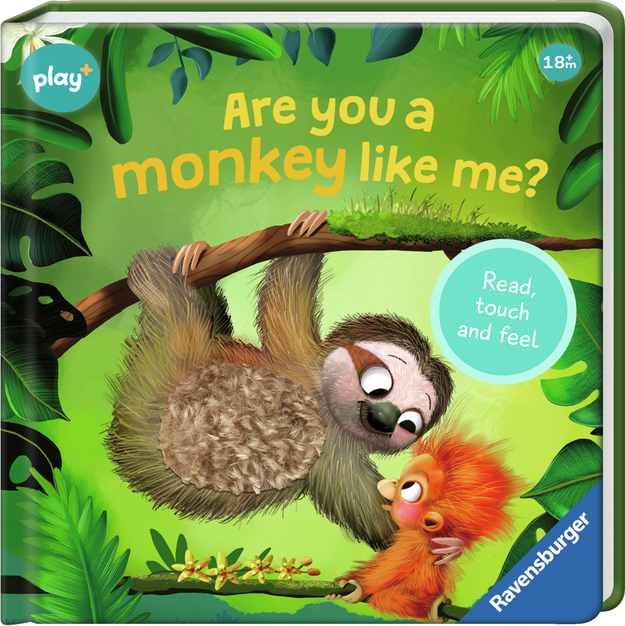 Are You A Monkey Like Me?